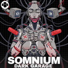 Ghost syndicate somnium dark garage cover