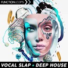 Functino loops vocal slap   deep house cover