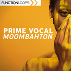 Function loops prime vocal moombahton cover