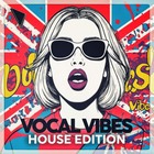 Dabromusic vocal vibes house edition 1000 loopmasters