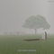 Shamanstems the eerie expanse cover 2000x2000