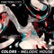 Function loops colors melodic house 1000 loopmasters