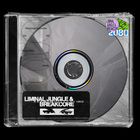 Liminal jungle   breakcore artwork