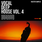 Rasster samples   vocal deep house vol.4 1000 loopmasters
