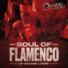 Royalty free latin samples  hip hop guitars  flamenco style guitar chord progressions  hip hop bass loops  nylon string spanish guitar sounds at loopmasters.com