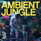 Ambient jungle by blackwarp 1000 loopmasters