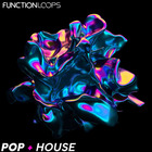 Function loops pop house 1000 loopmasters