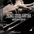 Pedal steel guitar americana   country 1000 loopmasters