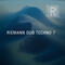 Riemann kollektion dub techno 7 cover
