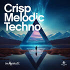 Black octopus sound crisp melodic techno by imaginate cover