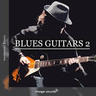 Blues guitars 2 cover