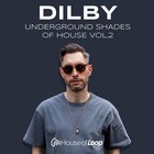 Dilby ush 2 1000 lq