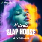 Producerloops melodic slap house   vocals cover