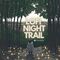 Soundsmiths lofi night trail cover