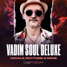 Royalty free hip hop samples  hip hop vocal loops  soul female vocal loops   hip hop guitar loops  hip hop drum loops  male vocal loops  vadim music at loopmasters.com