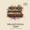 Bingoshakerz melancholia trap cover