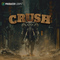 Producer loops crush cover