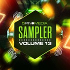 Sampler cover 1000 loopmasters