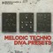 Rs melodic techno diva 1000x1000 loopmasters