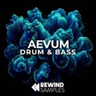 Rewind samples aevum drum   bass 1000 loopmasters
