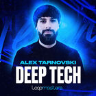 Royalty free tech house samples  deep tech bass loops  tech house percussion loops  house synth loops  punchy rhythms  tech house keys loops at loopmasters.com