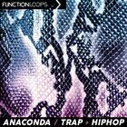 Function loops   anaconda   trap  hiphop 1000 loopmasters