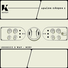 Analog chords 2 1000 1000 loopmasters