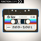 Function loops neo soul orig