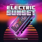 Electricsunset 1000 loopmasters