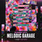 Royalty free uk garage samples  melodic garage samples  2 step drum loops  deep basslines  garage vocal loops  modern garage music  uplifting chords at loopmasters.com