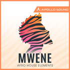 Mwene afro house elements 1000 loopmasters