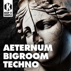 Aeternum bigroomtechno 1000 loopmasters