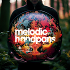 Black octopus sound callumcantsleep melodic handpans cover