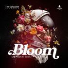 Black octopus sound bloom chill presets for serum 2 cover