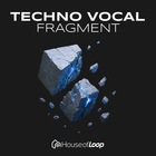 Techno vocal fragment lq