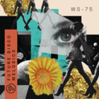 Ws75 future disco melodics cover