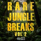Rarejunglebreaksv2 1000 loopmasters