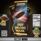 Deepmelodichousev2 1000x1000 loopmasters