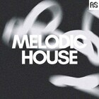 Ass065 melodic house 1000 loopmasters