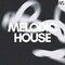 Ass065 melodic house 1000 loopmasters