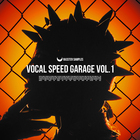 Rasstersamples vocalspeedgarage vol.1 cover