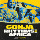Royalty free african samples  african instrument loops  marimba and kalimba loops  african vocals  african percussion loops  afrobeat instruments  africa%e2%80%99s musical heritage at loopmaster