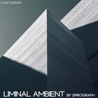Royalty free ambient samples   ethereal pads  dissonant sounds  ghostly atmospheres  ambient music  instrument stems  spacious vocal sounds at loopmasters.com