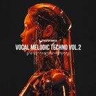 Rasster samples vocal melodic techno vol2 cover